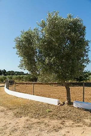 Apartamento Ca Na Maria Teueta Sant Ferran de Ses Roques