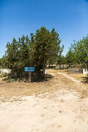 Apartamento Ca Na Maria Teueta Sant Ferran de Ses Roques