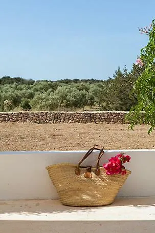 Ca Na Maria Teueta Apartment Sant Ferran de Ses Roques Spain