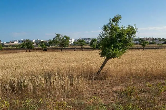 Ca Na Maria Teueta Apartment Sant Ferran de Ses Roques Spain