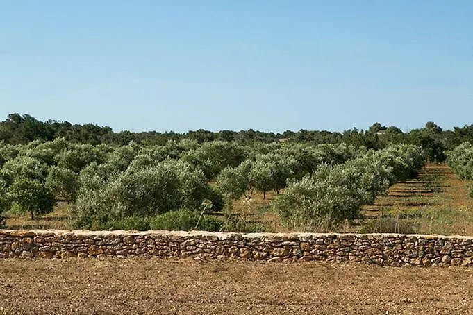 Ca Na Maria Teueta Apartment Sant Ferran de Ses Roques Spain